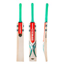 Gray-Nicolls Ventus Gen 1.0 Custom Made Cricket Bat