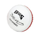 Gunn & Moore BS55 Skills Cricket Ball