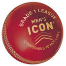 Gunn & Moore Icon Cricket Ball