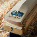 Gunn & Moore James Vince Players Edition Cricket Bat
