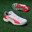 Puma 24.1 Spike Cricket Shoes