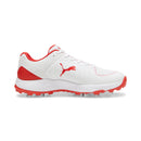Puma 24.2 Spike Cricket Shoes