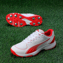Puma 24.2 Spike Cricket Shoes