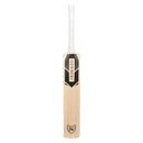 Newbery N Series Junior Cricket Bat