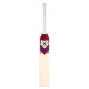 Newbery N Series Cricket Bat