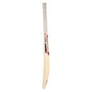 Newbery N Series Junior Cricket Bat