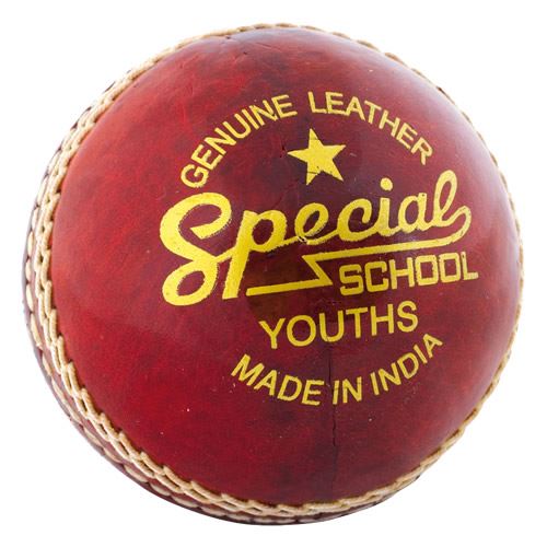 Readers Special School Cricket Ball