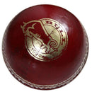 Bull School Cricket Ball